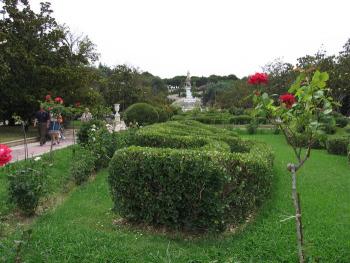 Fotografía para niños. 4.- Composición II y enfoque