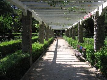 Fotografía para niños. 5.- Composición III. Horizontes